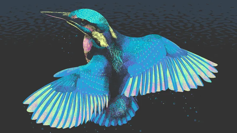 Bird Reynolds by Elko